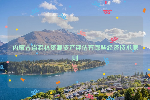 內蒙古省森林資源資產評估有哪些經濟技術原則