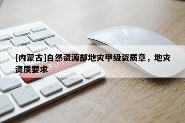 [內蒙古]自然資源部地災甲級資質章，地災資質要求