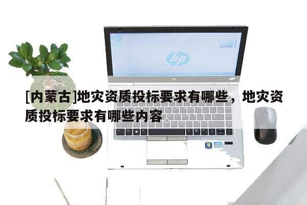 [內蒙古]地災資質投標要求有哪些，地災資質投標要求有哪些內容