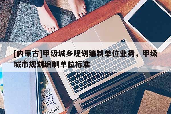 [內(nèi)蒙古]甲級(jí)城鄉(xiāng)規(guī)劃編制單位業(yè)務(wù)，甲級(jí)城市規(guī)劃編制單位標(biāo)準(zhǔn)