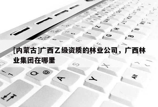 [內蒙古]廣西乙級資質的林業公司，廣西林業集團在哪里
