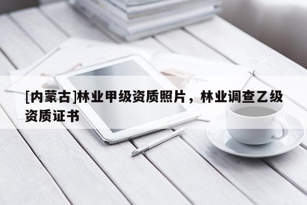 [內蒙古]林業甲級資質照片，林業調查乙級資質證書
