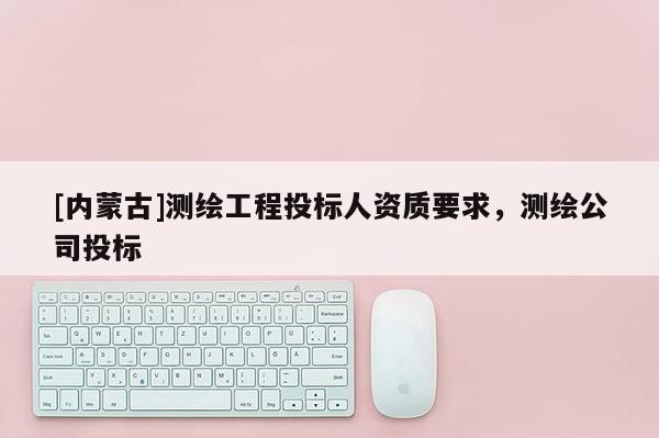 [內(nèi)蒙古]測繪工程投標(biāo)人資質(zhì)要求，測繪公司投標(biāo)