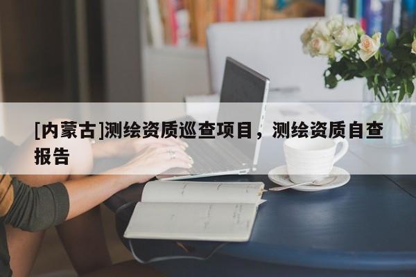 [內蒙古]測繪資質巡查項目，測繪資質自查報告