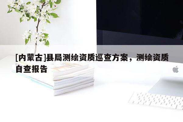 [內(nèi)蒙古]縣局測繪資質(zhì)巡查方案，測繪資質(zhì)自查報告