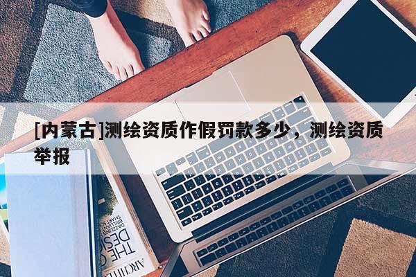 [內(nèi)蒙古]測(cè)繪資質(zhì)作假罰款多少，測(cè)繪資質(zhì)舉報(bào)