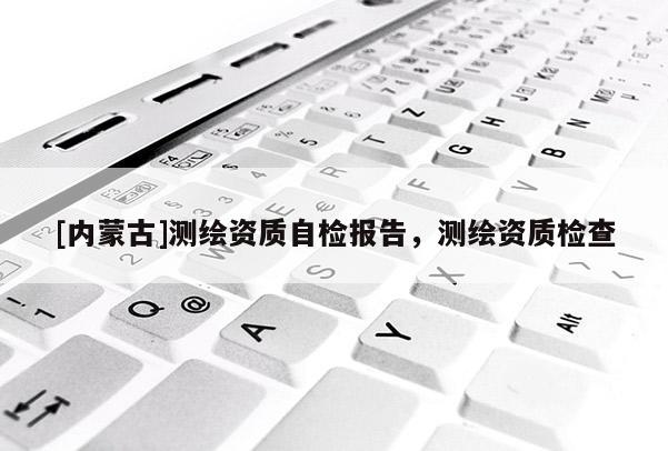 [內蒙古]測繪資質自檢報告，測繪資質檢查