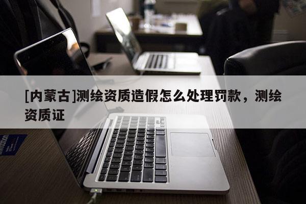[內蒙古]測繪資質造假怎么處理罰款，測繪資質證